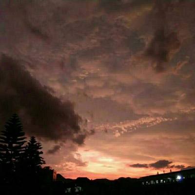 江南APP手机app下载